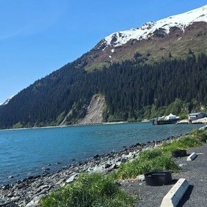 Meet your Posher, Chase